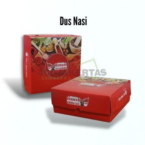 Box Nasi